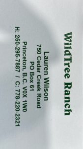 Lauren Wilson card